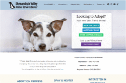 SVASC Website