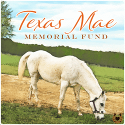 Texas Mae Memorial Fund logo