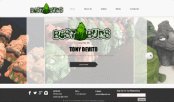 Best Buds Website