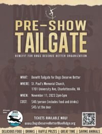 DMB Dave Matthews Band Benefit Event Flyer
