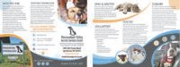 Shenandoah Valley Animal Services Center Brochure